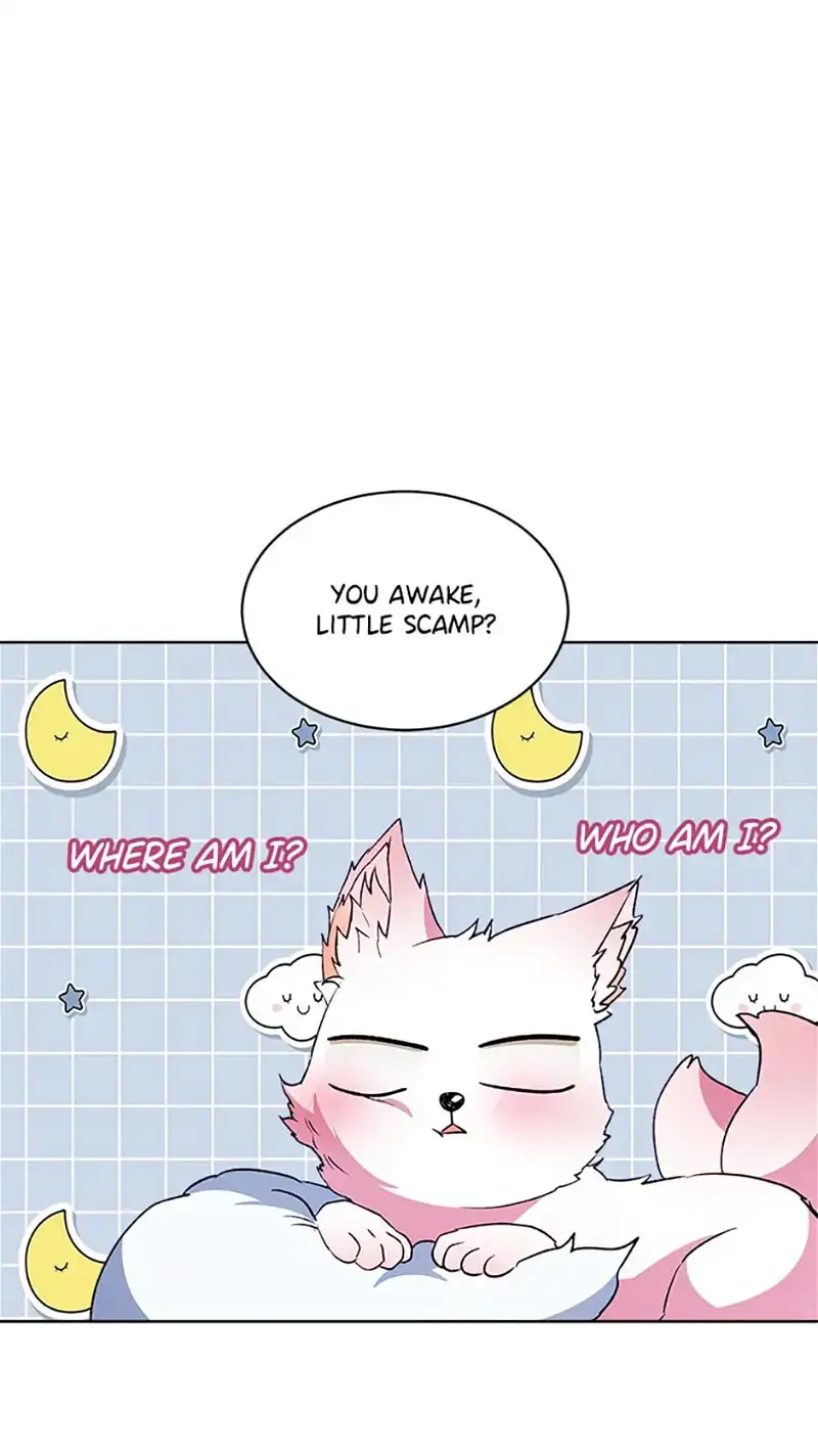 I Was Reincarnated as a Baby Fox God Chapter 52 308 52