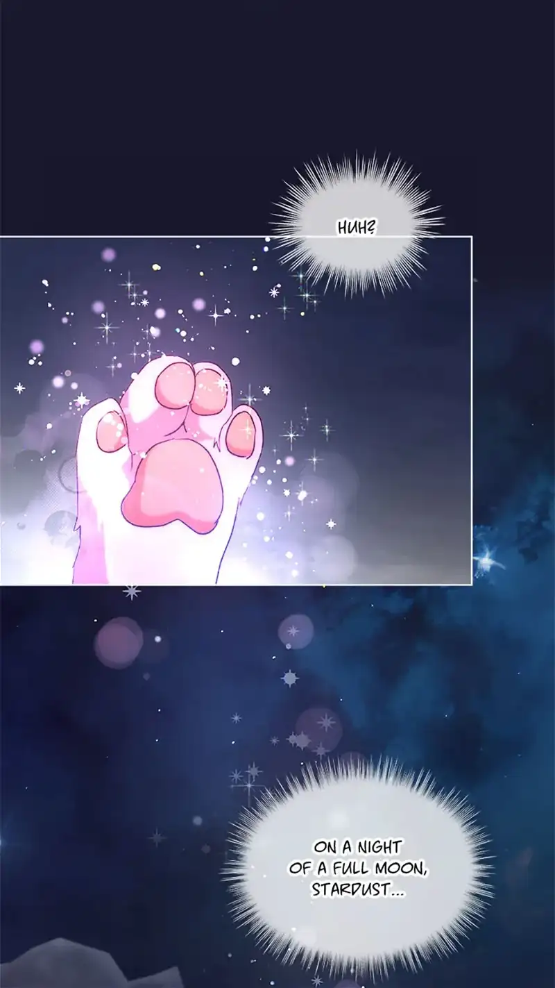 I Was Reincarnated as a Baby Fox God Chapter 52 323 67