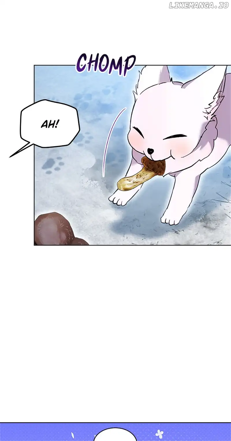 I Was Reincarnated as a Baby Fox God Chapter 53 252 44
