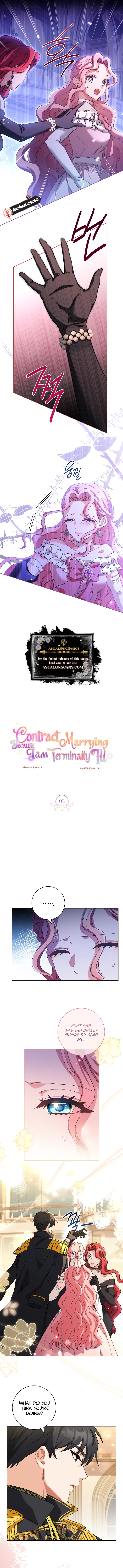 Since My Time is Limited, I’m Entering A Contract Marriage Chapter 3 51 4