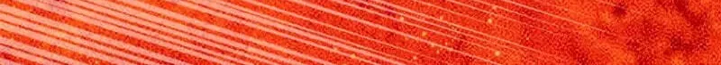 2026 08 18 03 11 02 1787022662565