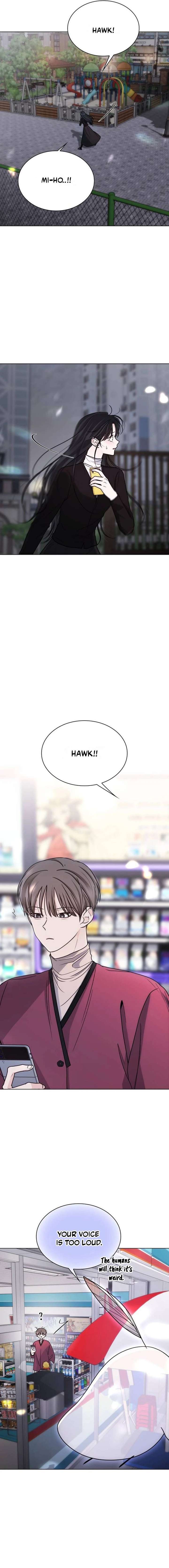 ch 81 11
