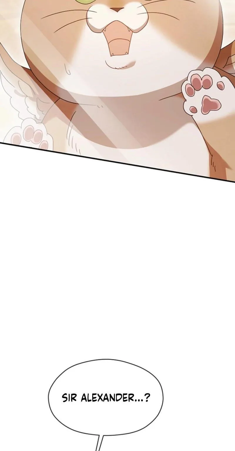 2cbefb231566