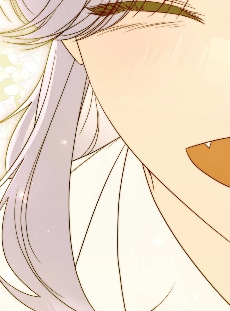ch 52 74