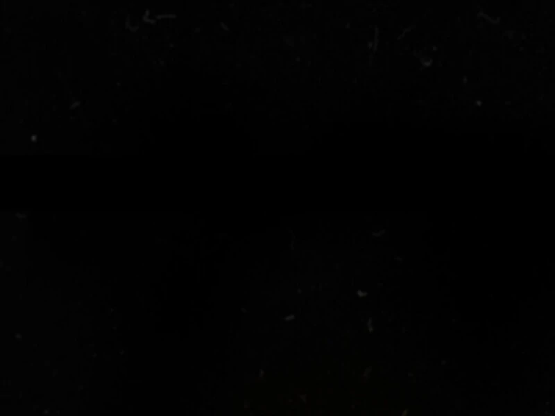 135
