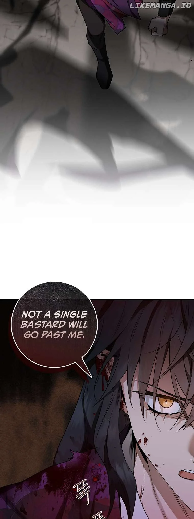 I’m a Martial Art Villainess but I’m the Strongest! Chapter 119 266 62