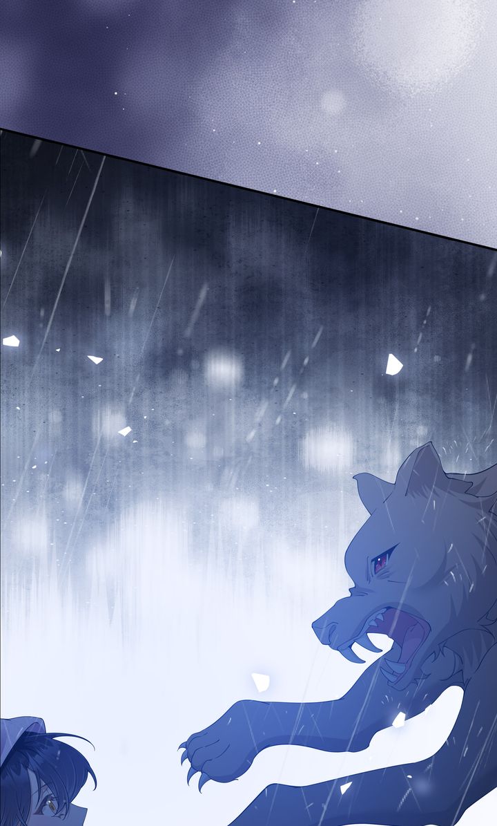ch 75 52