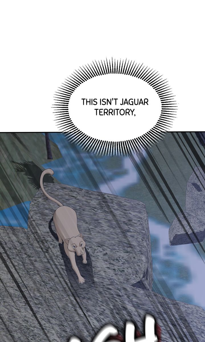 ch 78 1