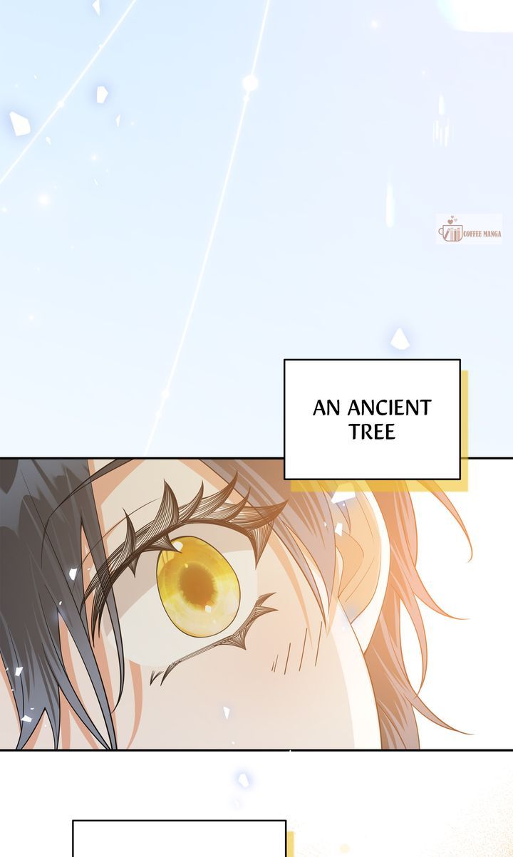 ch 79 100