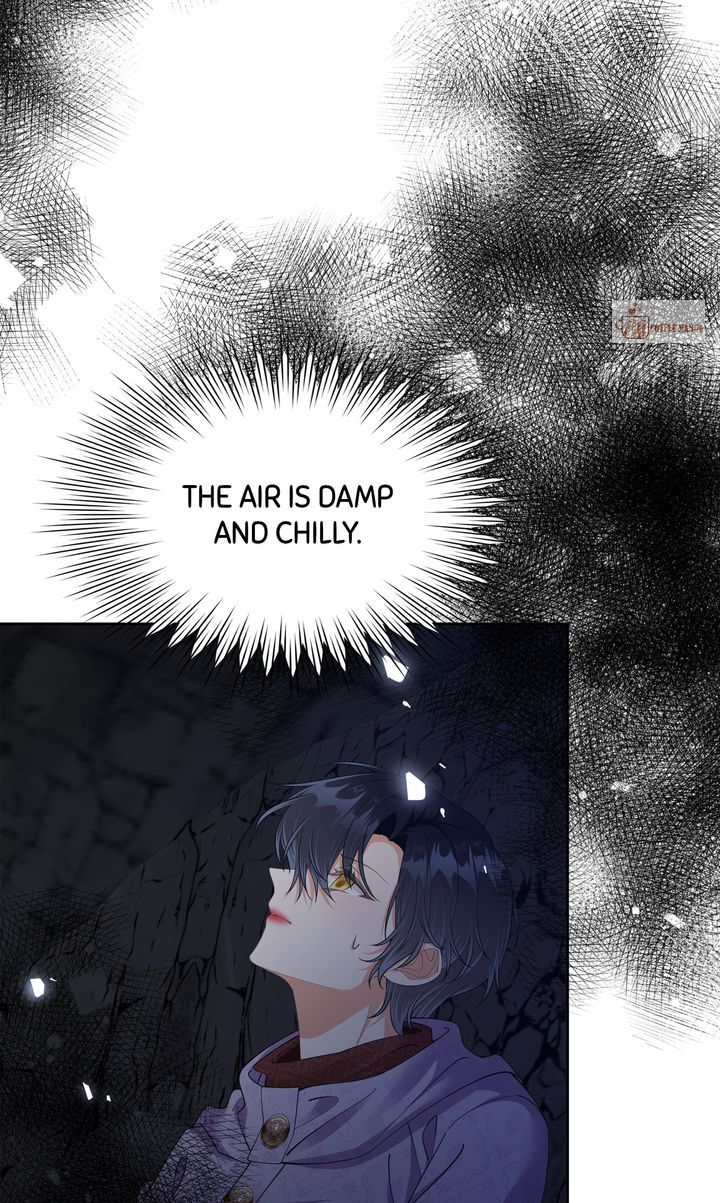 ch 79 23