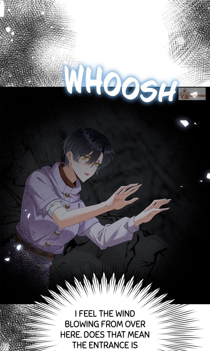 ch 79 26