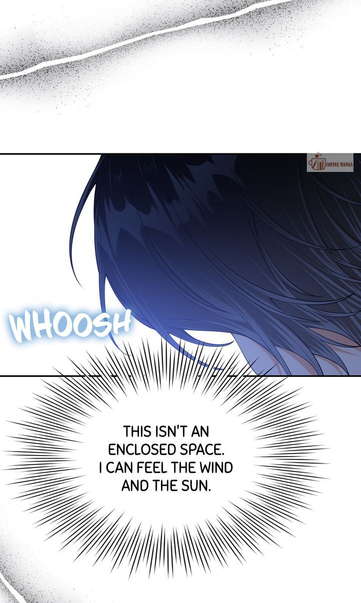 ch 79 8