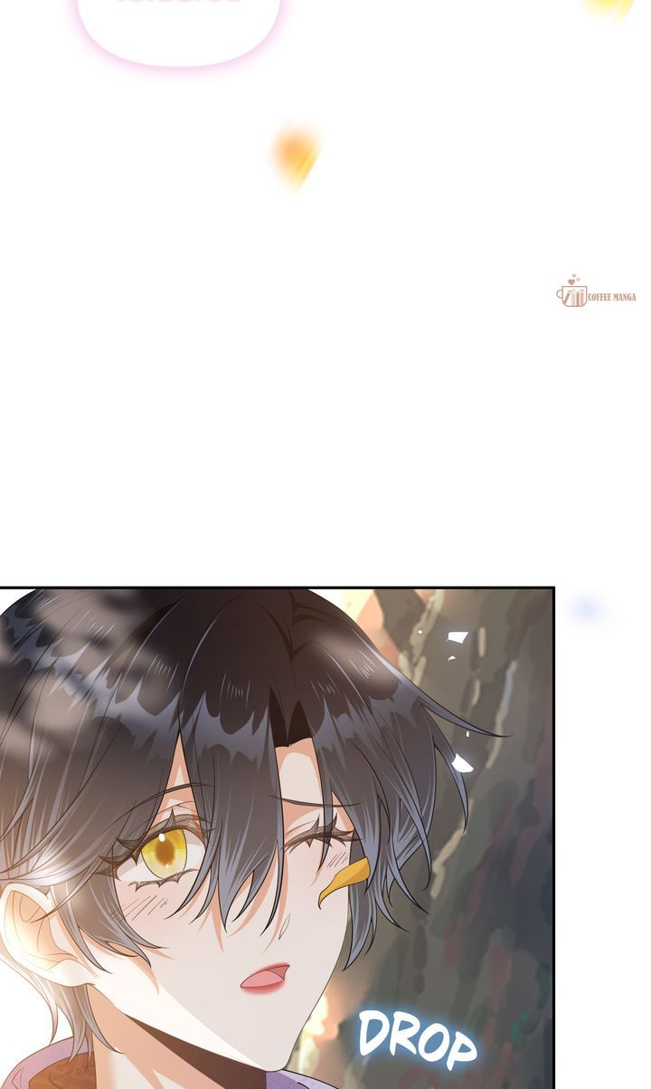 ch 79 88