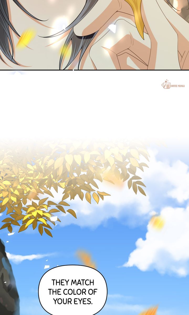 ch 79 90