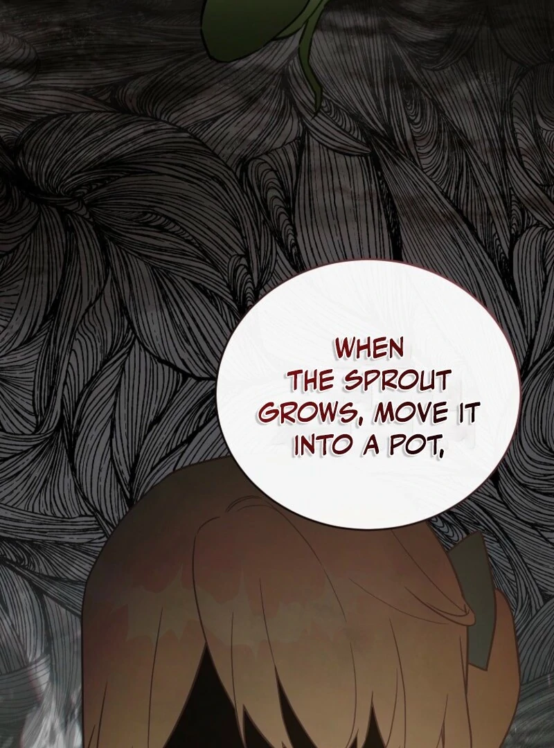The Little Lord Who Makes Flowers Bloom Chapter 74 381 026