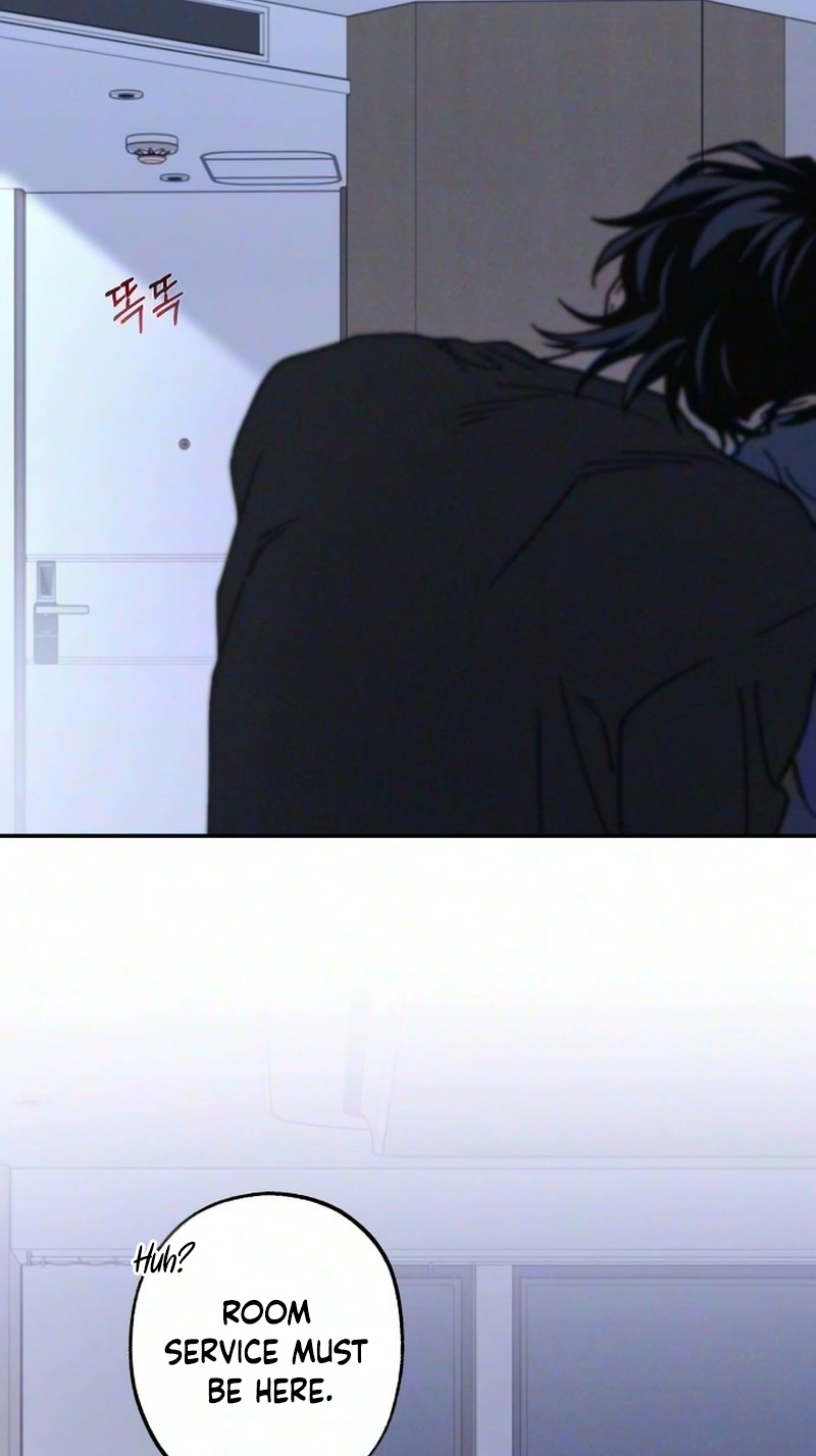036034d9cc44