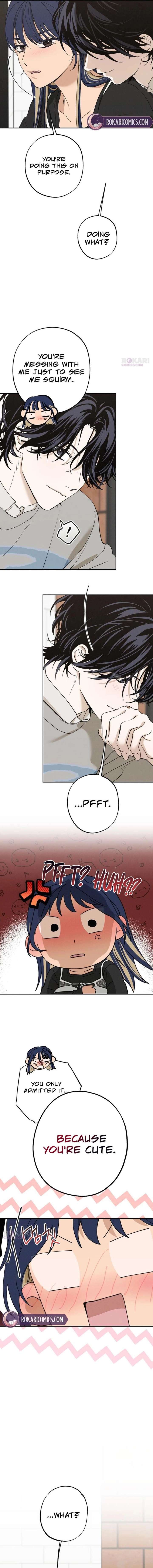 ch 74 5