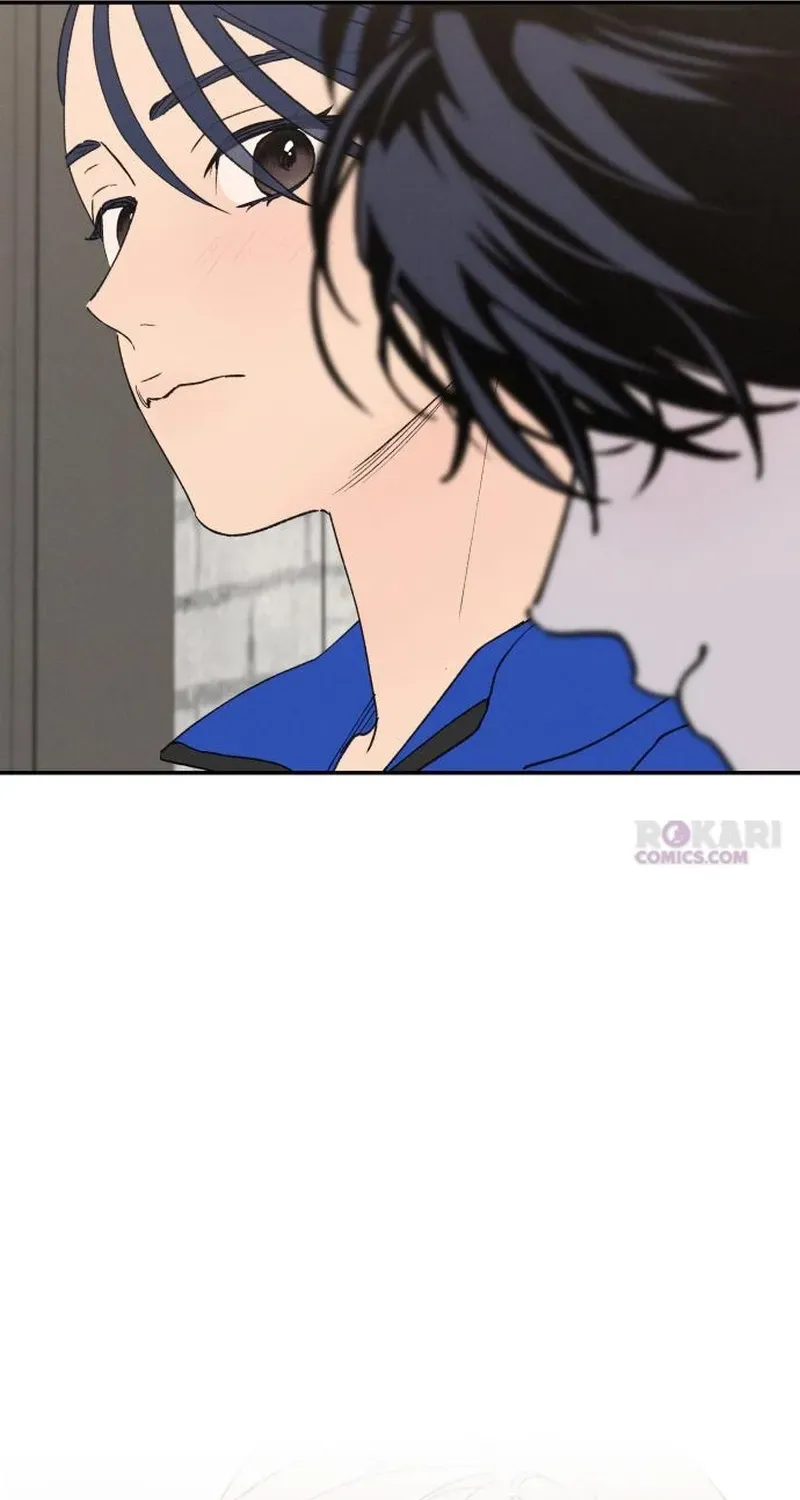 40173d223b4e