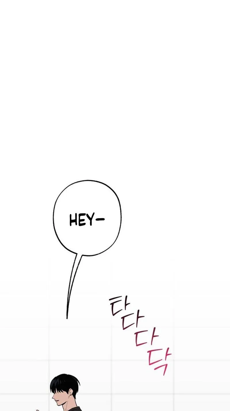 115e6edd5bff