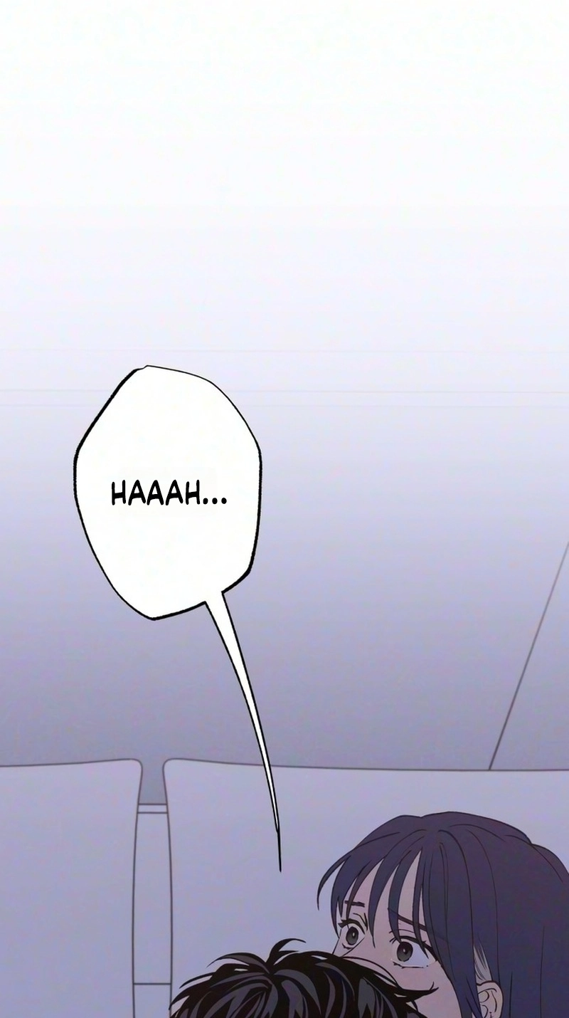 a51b9e4879b3