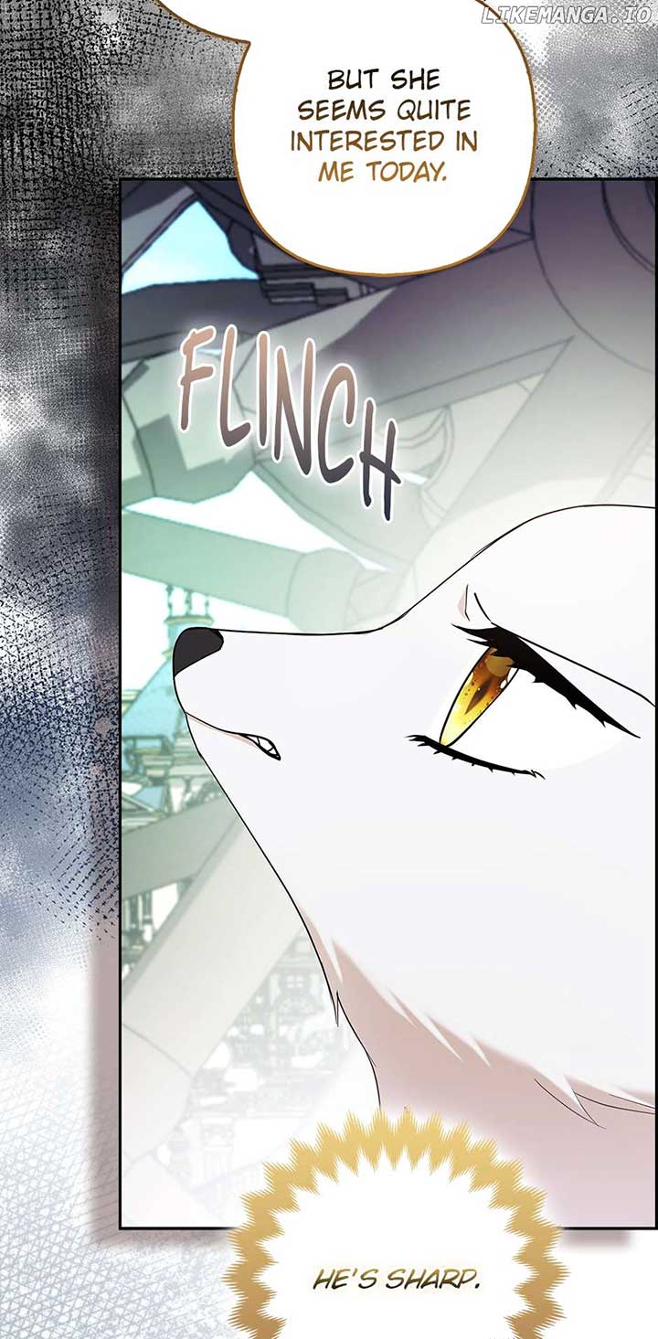 ch 63 61