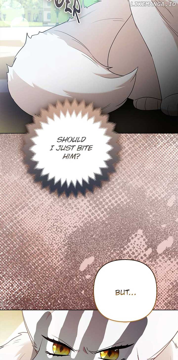 ch 63 72