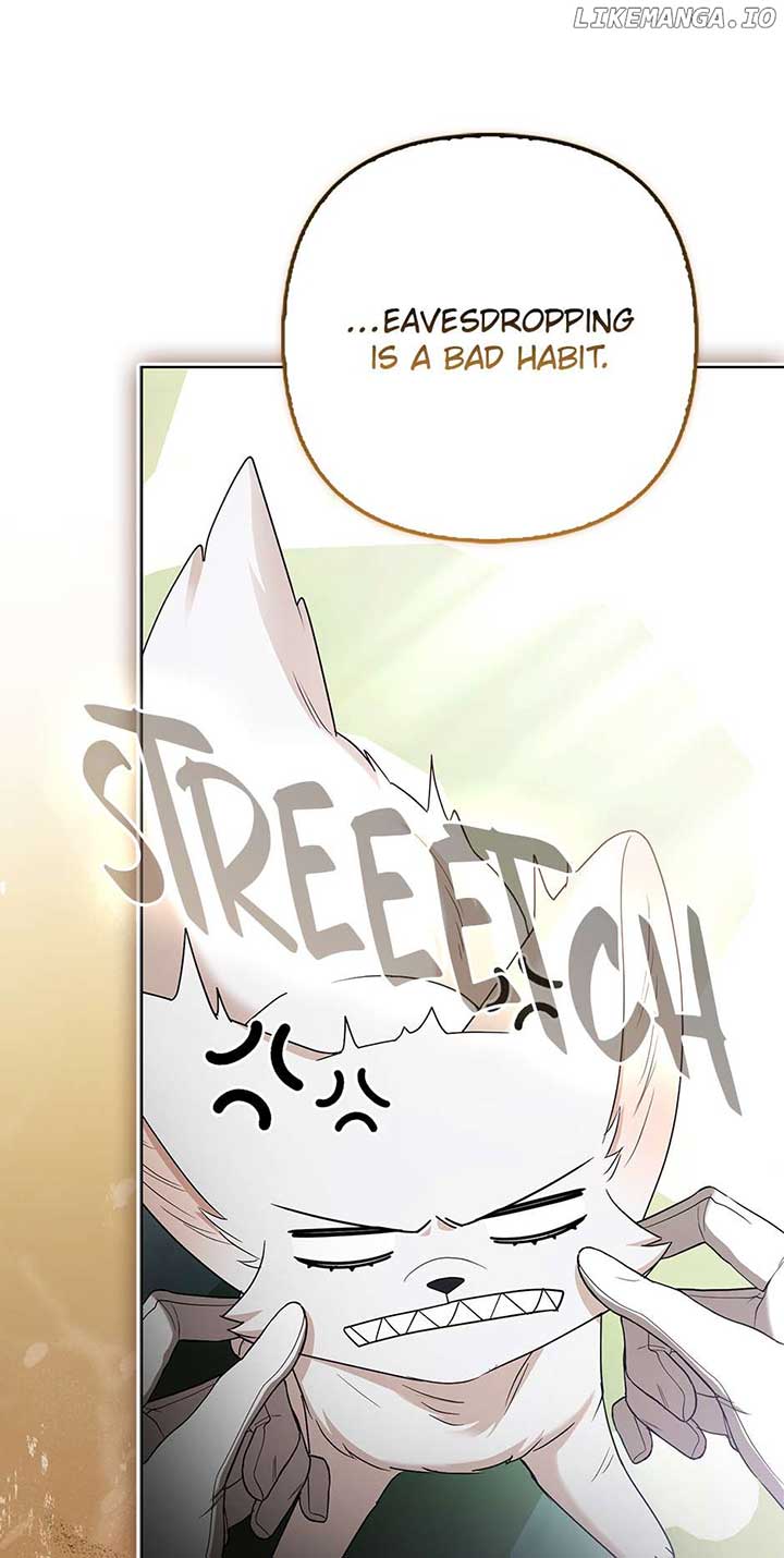 ch 63 74