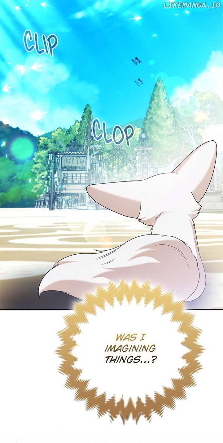 ch 63 78