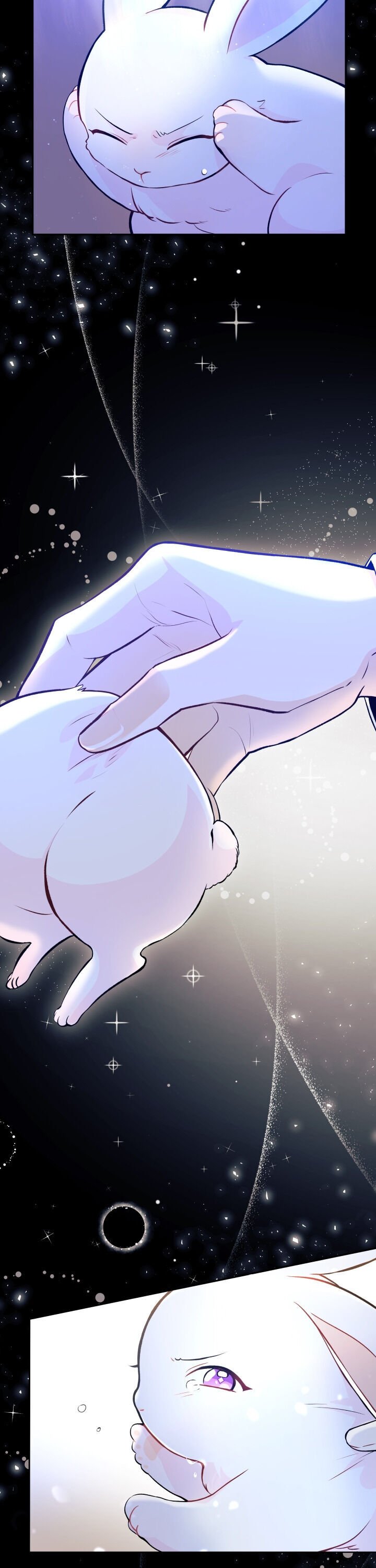 The Symbiotic Relationship Between the Rabbit and the Black Panther Chapter 1 72 11