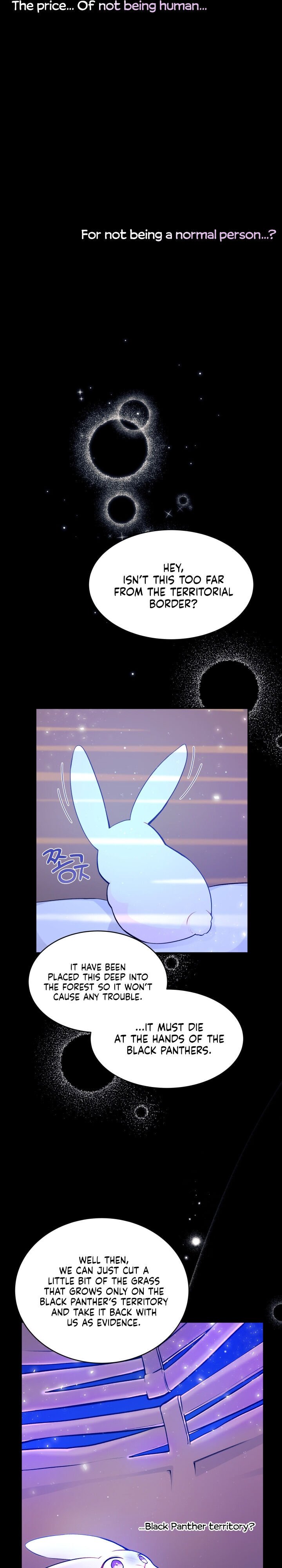 The Symbiotic Relationship Between the Rabbit and the Black Panther Chapter 1 67 6