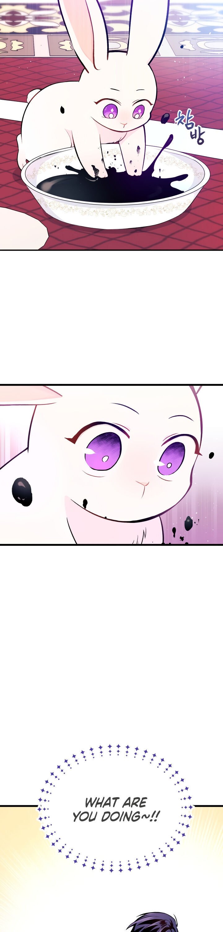 The Symbiotic Relationship Between the Rabbit and the Black Panther Chapter 10 104 13