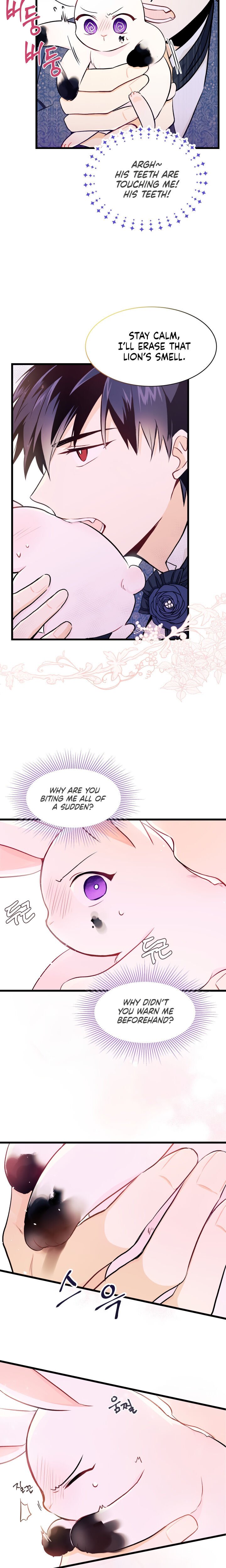 The Symbiotic Relationship Between the Rabbit and the Black Panther Chapter 10 112 21