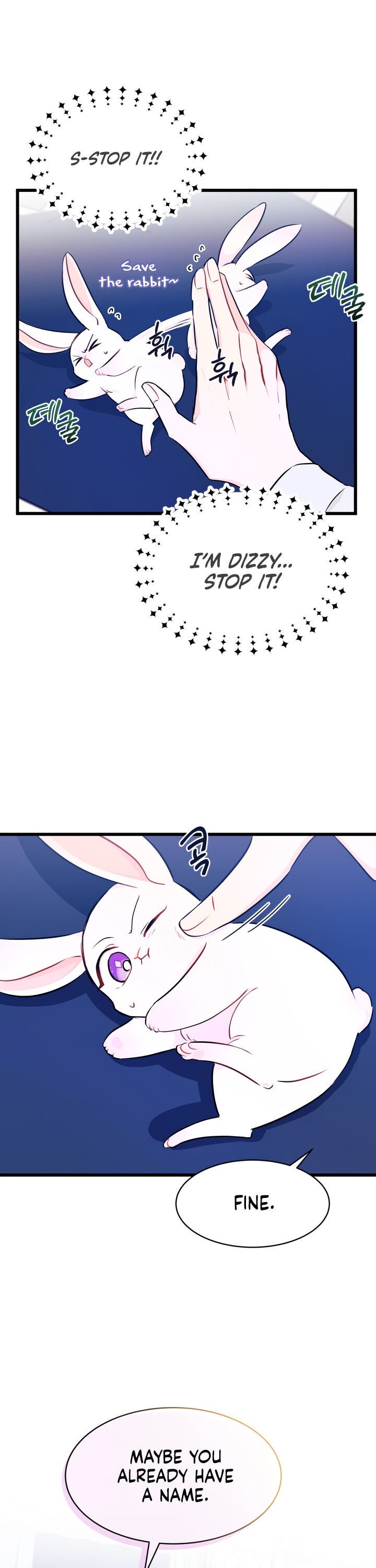 The Symbiotic Relationship Between the Rabbit and the Black Panther Chapter 10 98 7