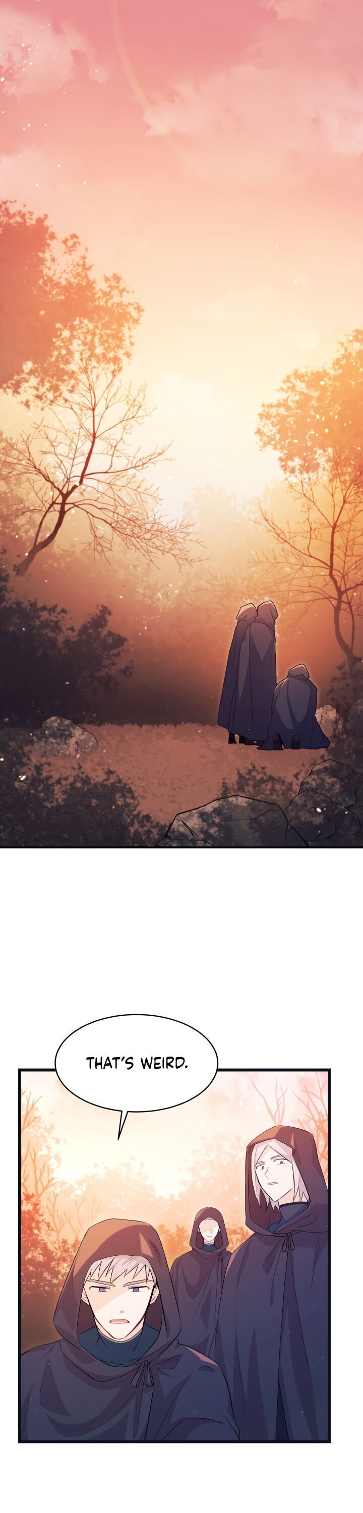 The Symbiotic Relationship Between the Rabbit and the Black Panther Chapter 12 89 1