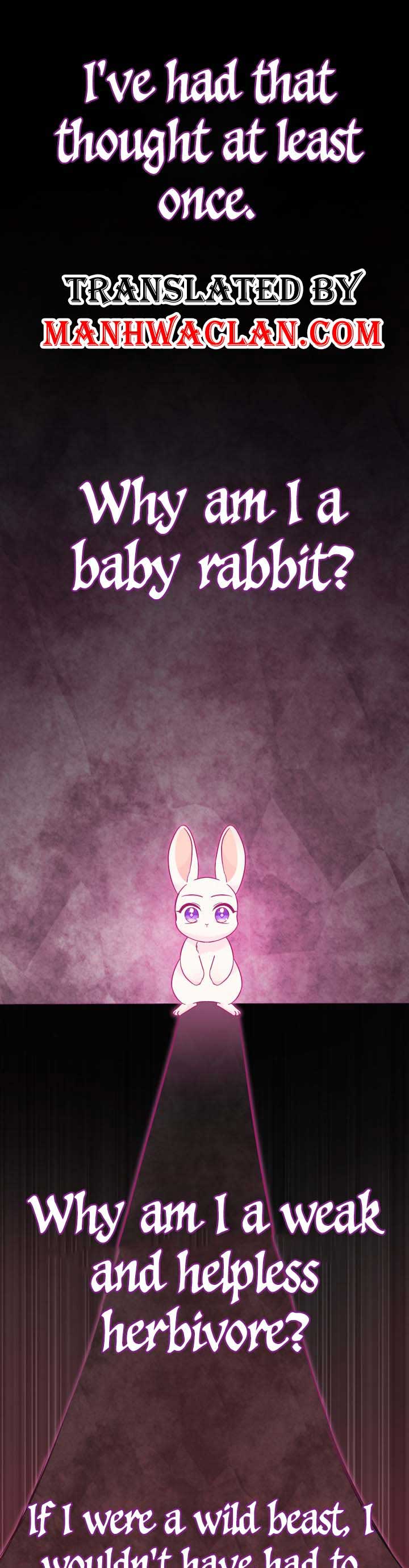 The Symbiotic Relationship Between the Rabbit and the Black Panther Chapter 120 44 1 01