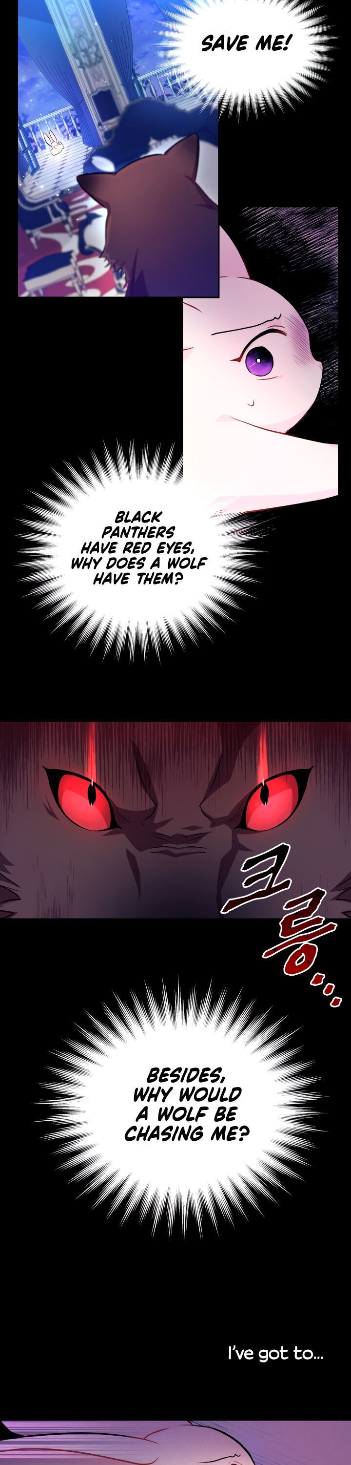 The Symbiotic Relationship Between the Rabbit and the Black Panther Chapter 14 98 4