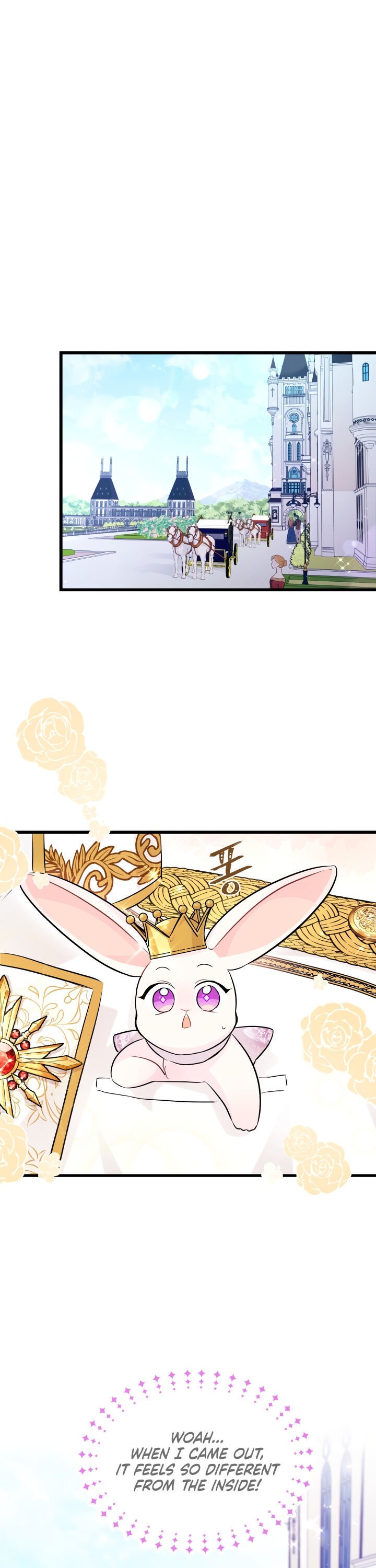 The Symbiotic Relationship Between the Rabbit and the Black Panther Chapter 17 102 17