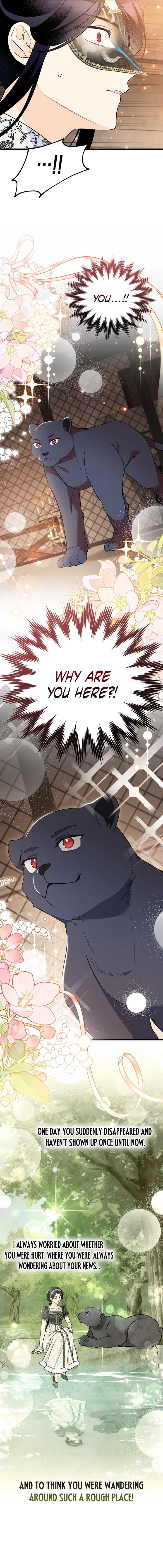 The Symbiotic Relationship Between the Rabbit and the Black Panther Chapter 186 61 11