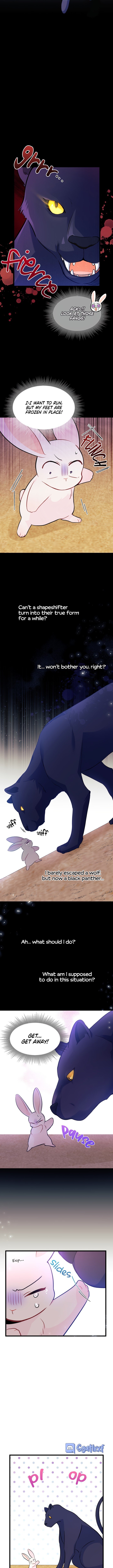 The Symbiotic Relationship Between the Rabbit and the Black Panther Chapter 23 47 4