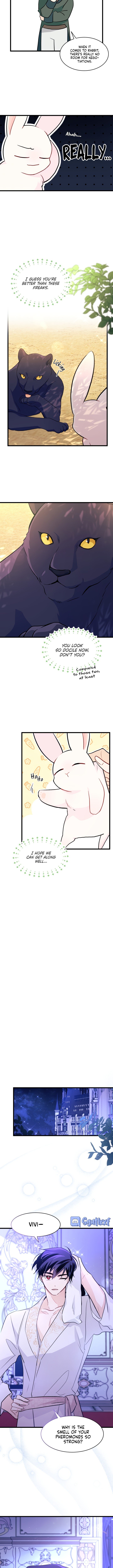 The Symbiotic Relationship Between the Rabbit and the Black Panther Chapter 23 51 8