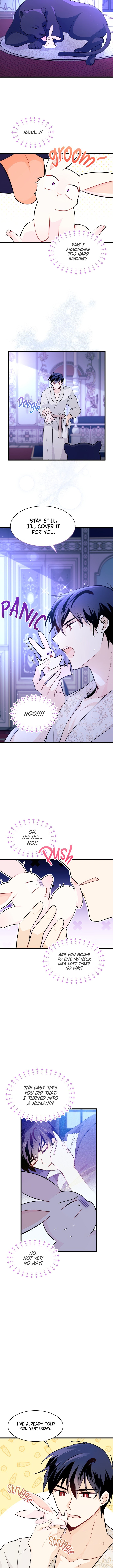 The Symbiotic Relationship Between the Rabbit and the Black Panther Chapter 23 52 9