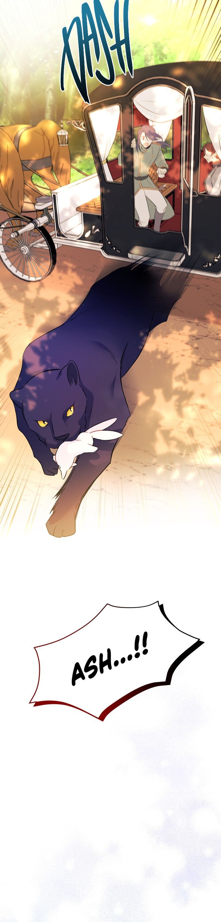 The Symbiotic Relationship Between the Rabbit and the Black Panther Chapter 29 153 20
