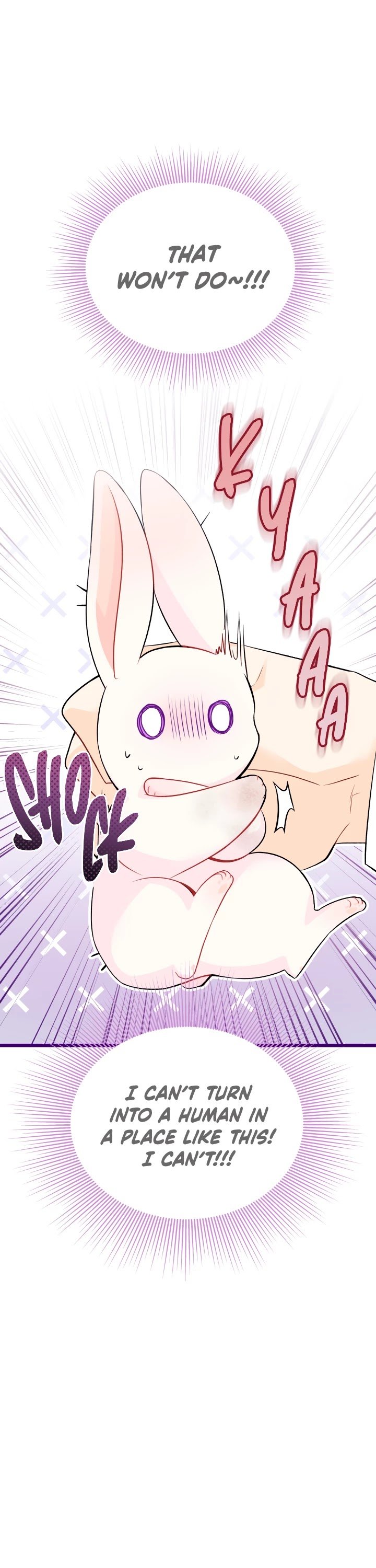 The Symbiotic Relationship Between the Rabbit and the Black Panther Chapter 35 186 32