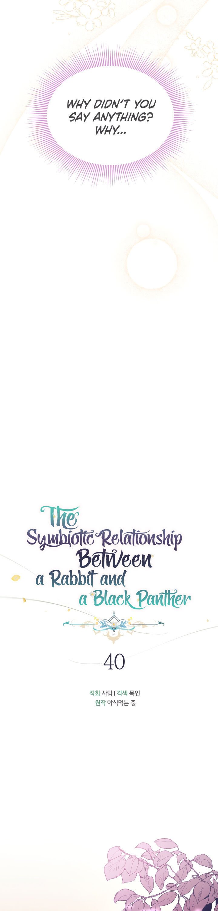 The Symbiotic Relationship Between the Rabbit and the Black Panther Chapter 40 112 09