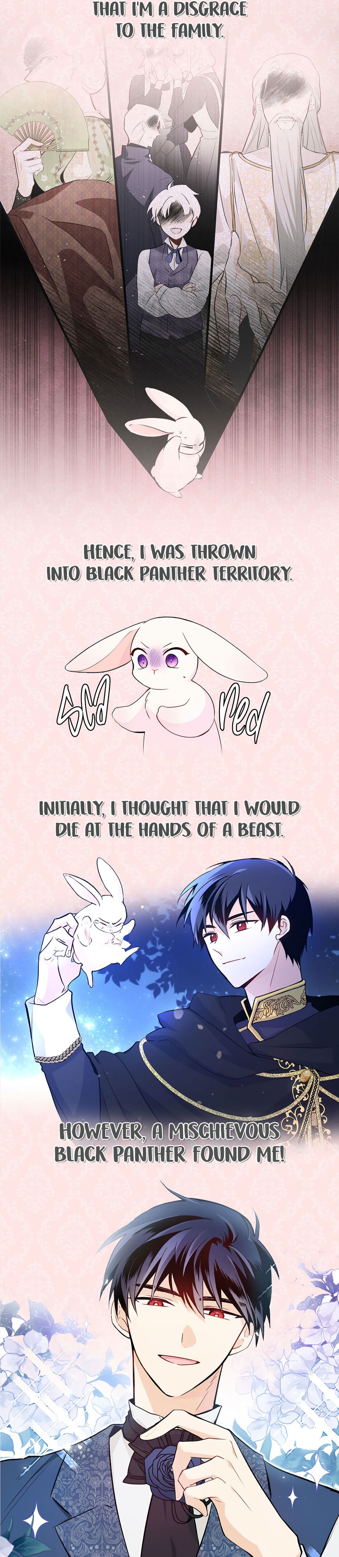 The Symbiotic Relationship Between the Rabbit and the Black Panther Chapter 44.5 46 2