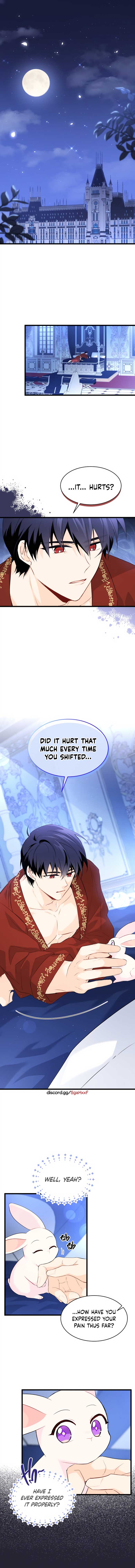 The Symbiotic Relationship Between the Rabbit and the Black Panther Chapter 47 47 0