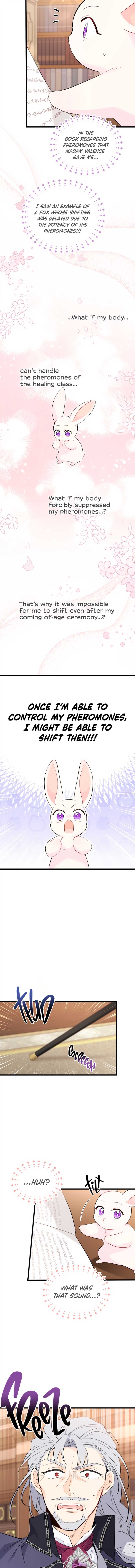 The Symbiotic Relationship Between the Rabbit and the Black Panther Chapter 47 58 11