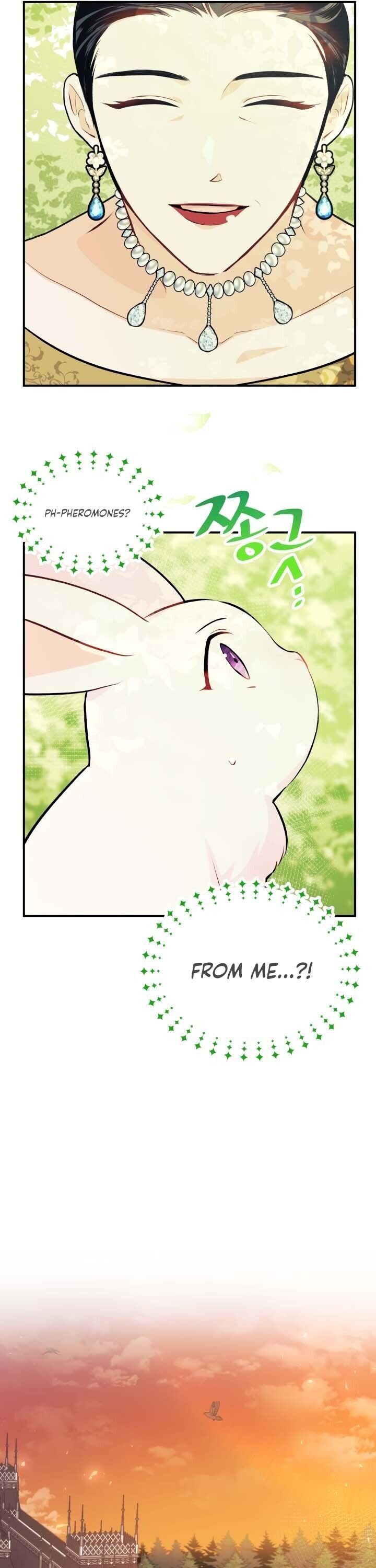 The Symbiotic Relationship Between the Rabbit and the Black Panther Chapter 5 106 12