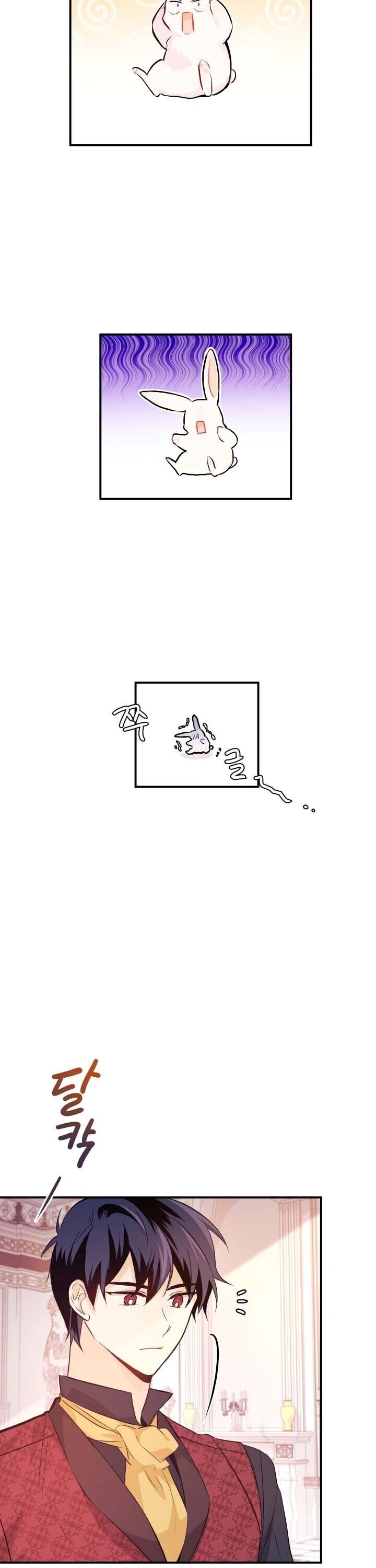 The Symbiotic Relationship Between the Rabbit and the Black Panther Chapter 5 113 19