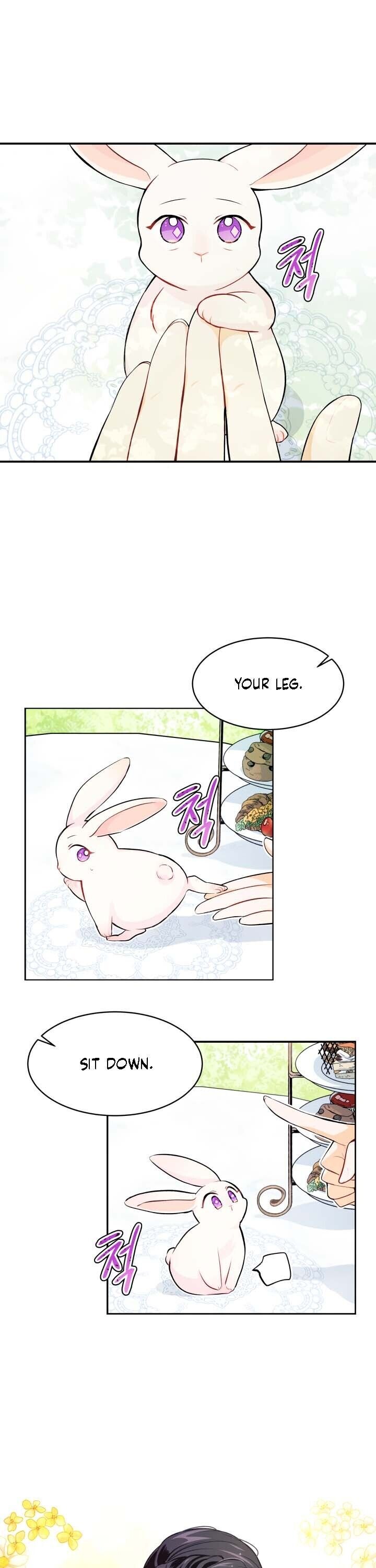 The Symbiotic Relationship Between the Rabbit and the Black Panther Chapter 5 100 6